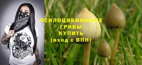 таблы Алексин