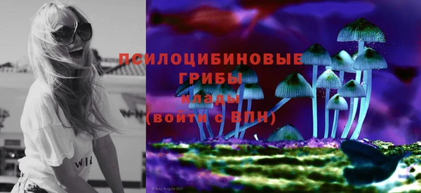 таблы Алексин