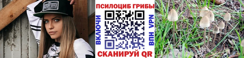 Галлюциногенные грибы Psilocybe  Новая Ляля 